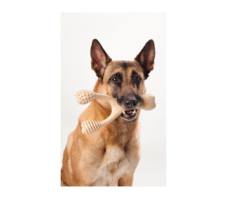 kość do gryzienia BetterBone  Large Medium Beef