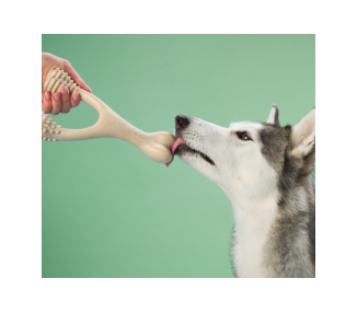 kość do gryzienia BetterBone  Large Medium Beef