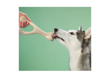 kość dla psa betterbone