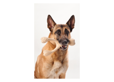 kość dla psa betterbone