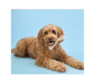 Kość do gryzienia BetterBone  Small Soft Classic