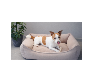 Kość do gryzienia BetterBone  Small Soft Classic