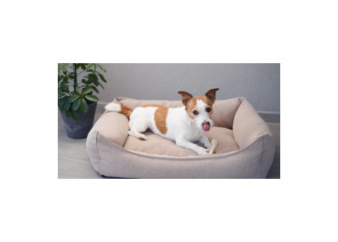 Kość do gryzienia BetterBone  Small Soft Classic