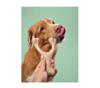 bimbay kość dla psa