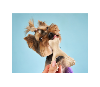 kość dla psa bimbay