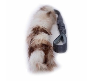 bimbay szarpak dla psa