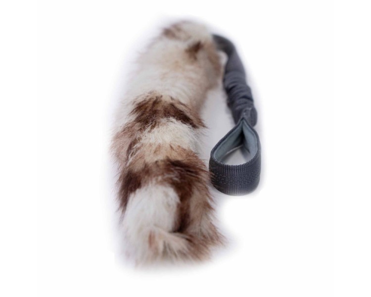 bimbay szarpak dla psa