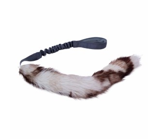 bimbay szarpak dla psa