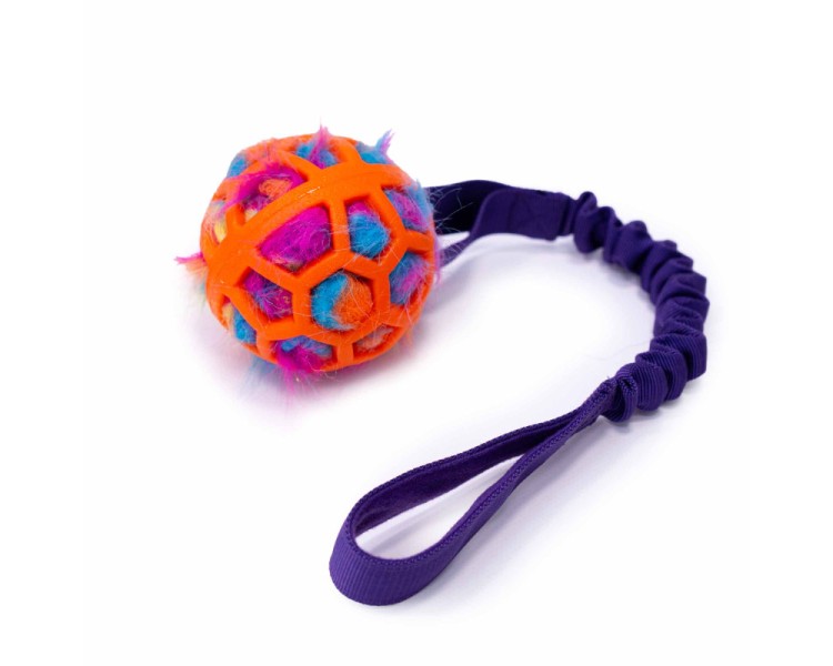 bimbay szarpak dla psa