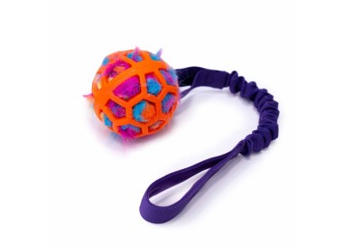 bimbay szarpak dla psa