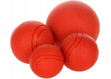 bimbay piłka dla psa