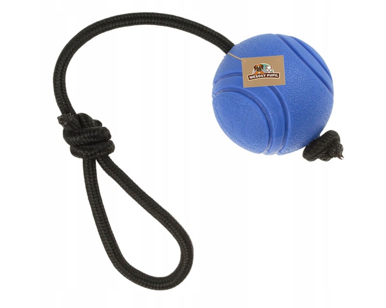 zabawka dla psa mocna piłka