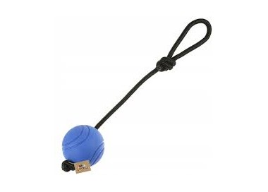 zabawka dla psa mocna piłka