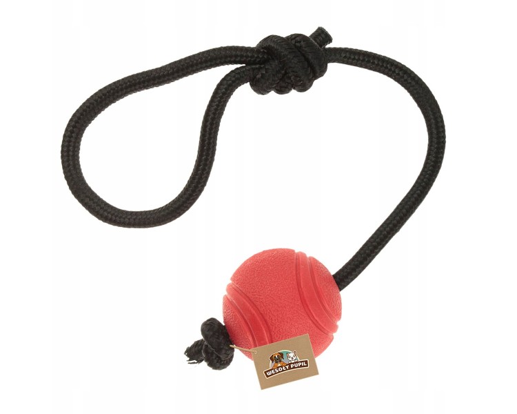 bimbay mocna piłka dla psa