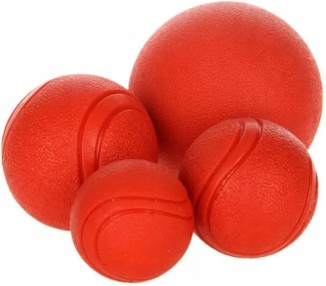 bimbay piłka dla psa