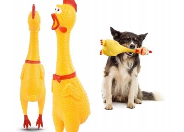 zabawka gumowy kurczak dla psa