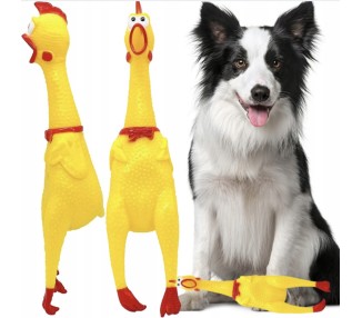 zabawka gumowy kurczak dla psa