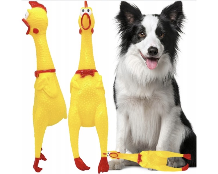 zabawka gumowy kurczak dla psa