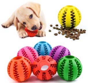 piłka dla psa gryzak