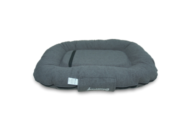 bimbay ponton dla psa